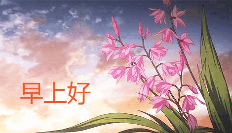 早上好图片大全祝福视频,早上好祝福图片大全大图