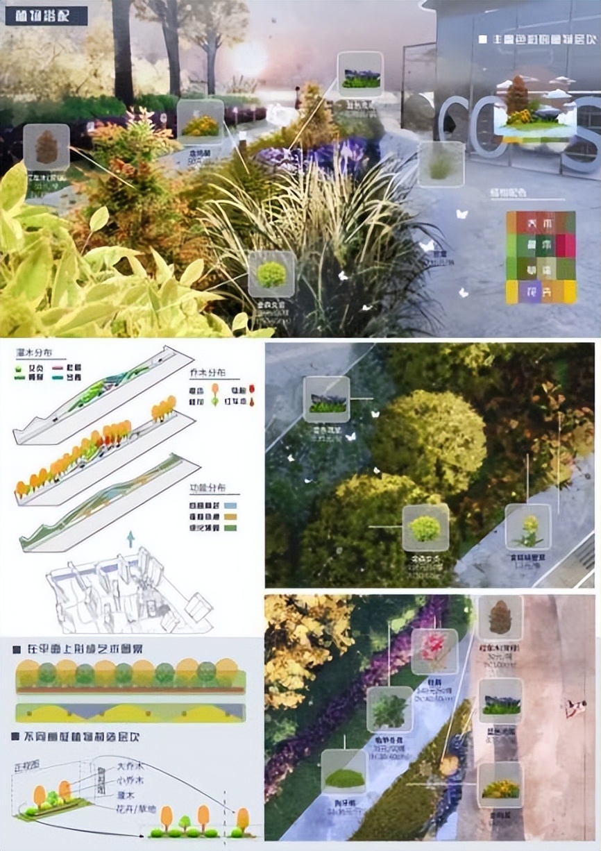 本科毕业设计奇葩,最好的毕业生设计作品