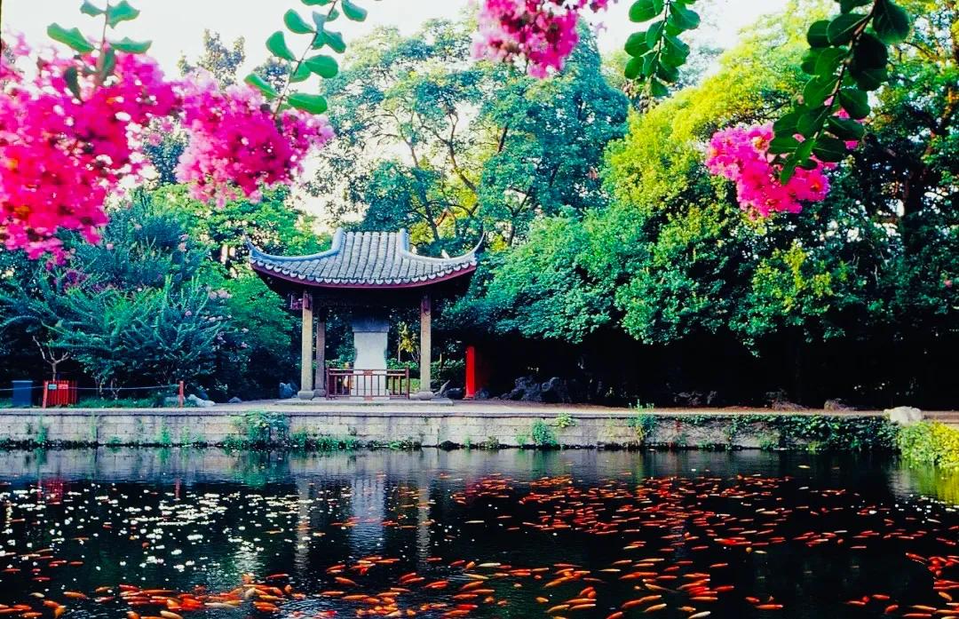 杭州西湖照片,杭州西湖旅游攻略