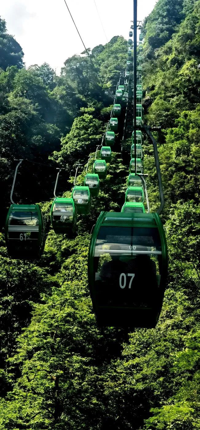 哈雷车主会福州分会,哈雷hog车主会八周年庆典巡游