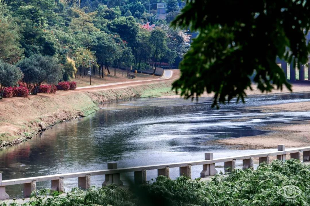 十大风景最美的湖泊排行榜,深圳风景美丽的湖泊