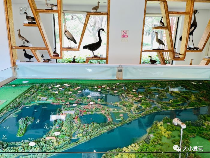 神秘的五个地方,神秘的5个地方