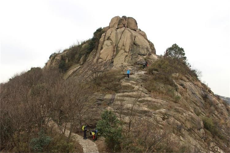 爱旅经常组织的市内登山路线，传说健康的人都去了这里......