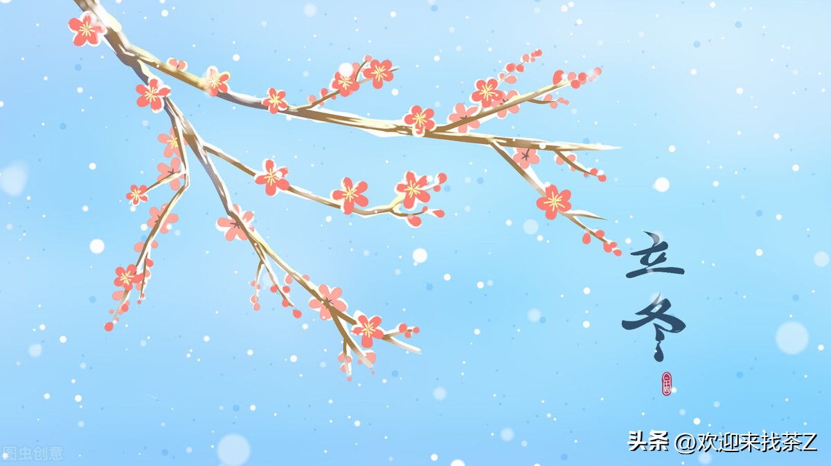 立冬开始喝什么茶好一点,立冬之后喝哪些茶好喝点