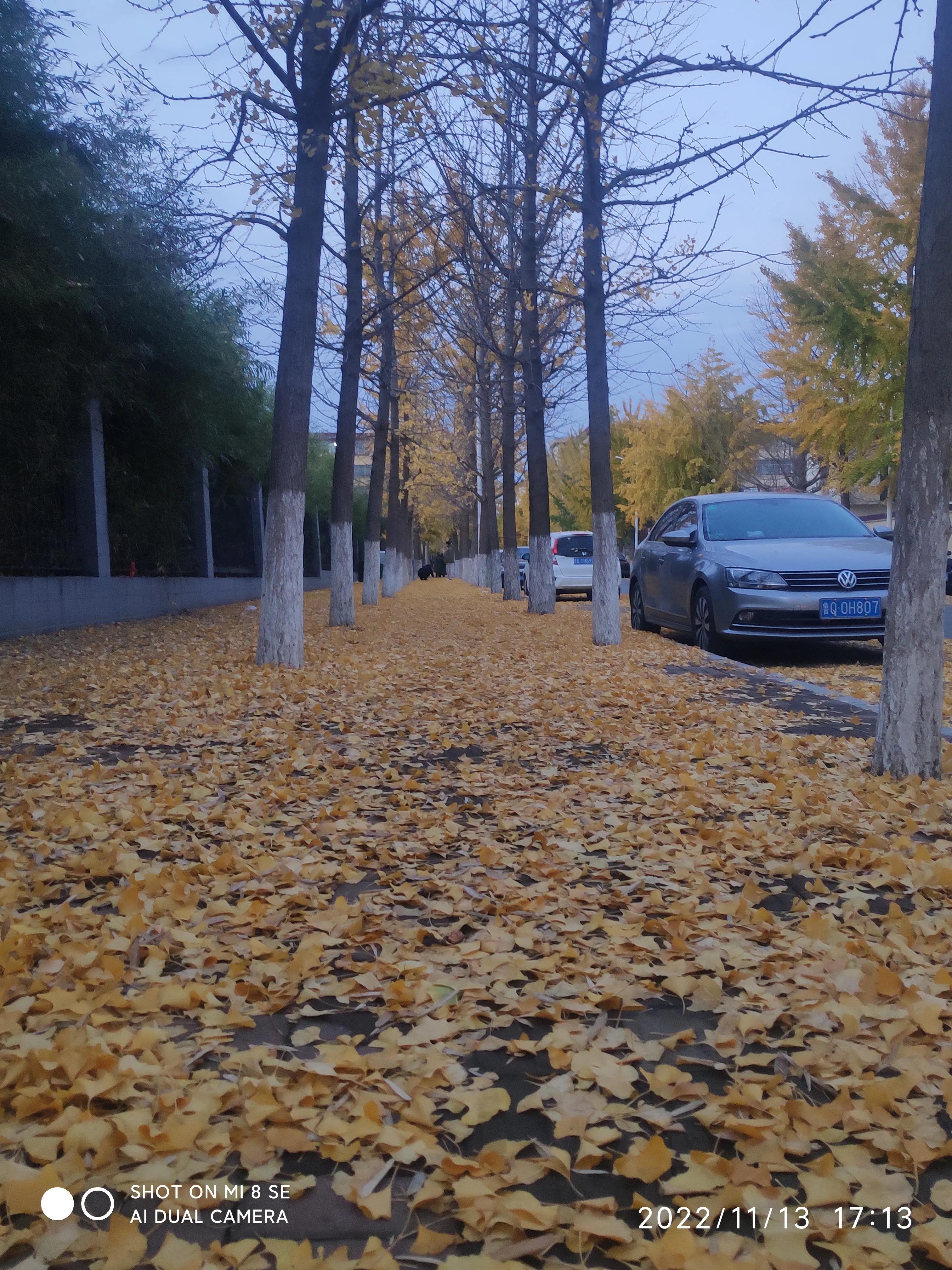 解封帖,解封记录怎么查