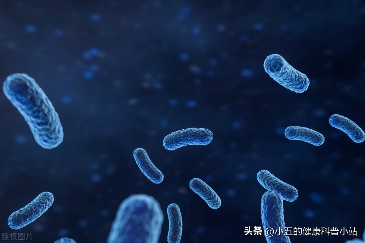 清热利湿通淋前列腺药有哪些,治前列腺炎清热利湿的中草药