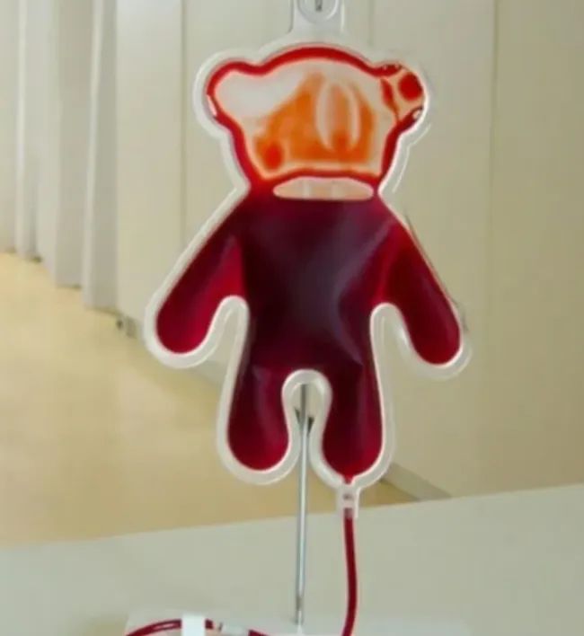 因为娇气和“作死”......它把自己活成了“植物界的大熊猫”