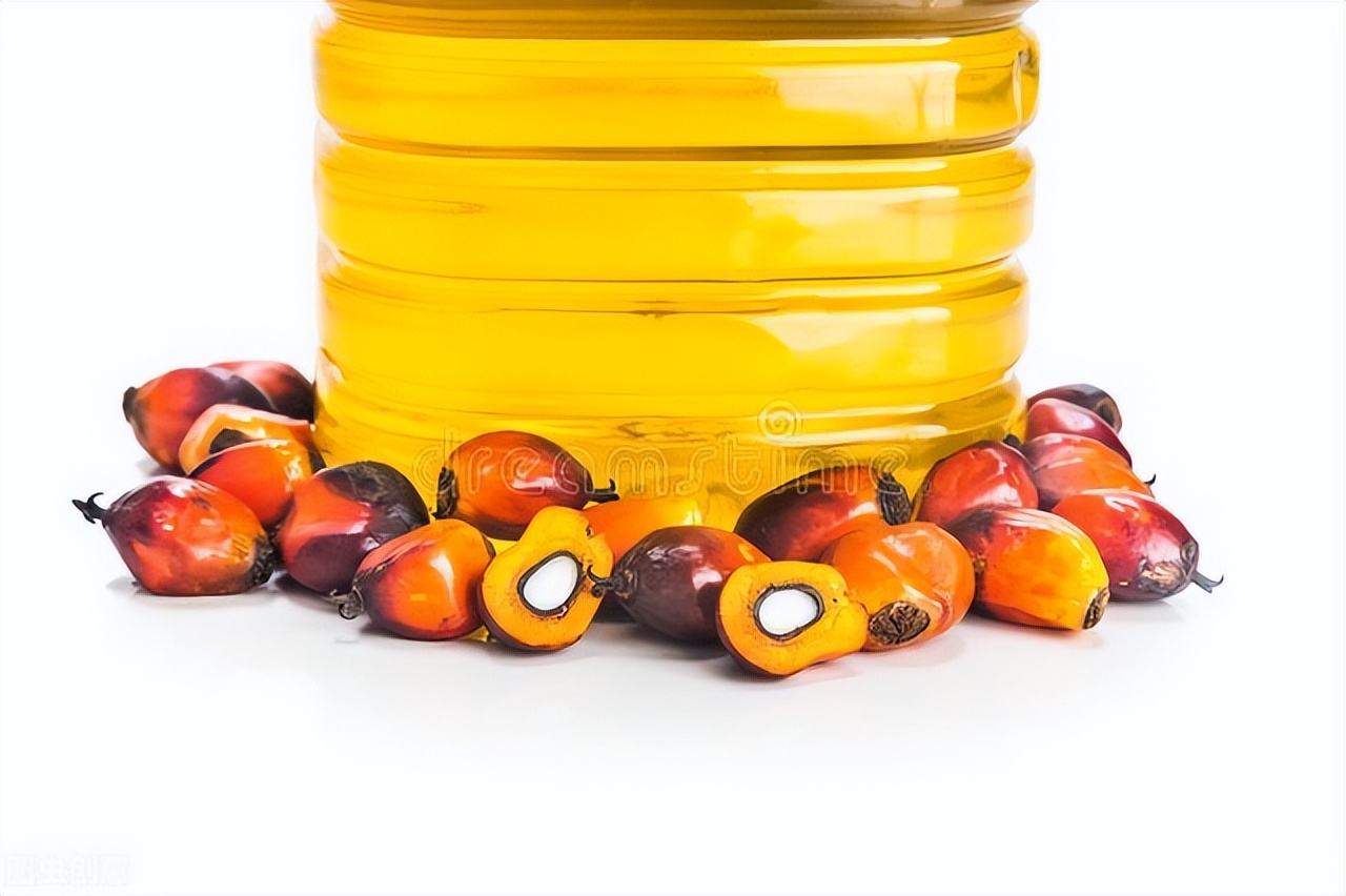 铁矿石期货跌停,铁矿期货合约大跌