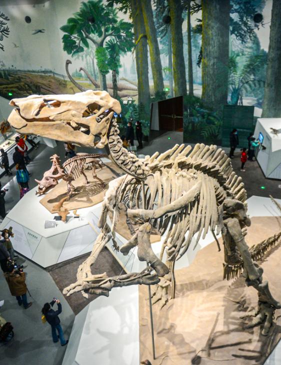 中国十大恐龙图鉴,100种恐龙名字图鉴图文