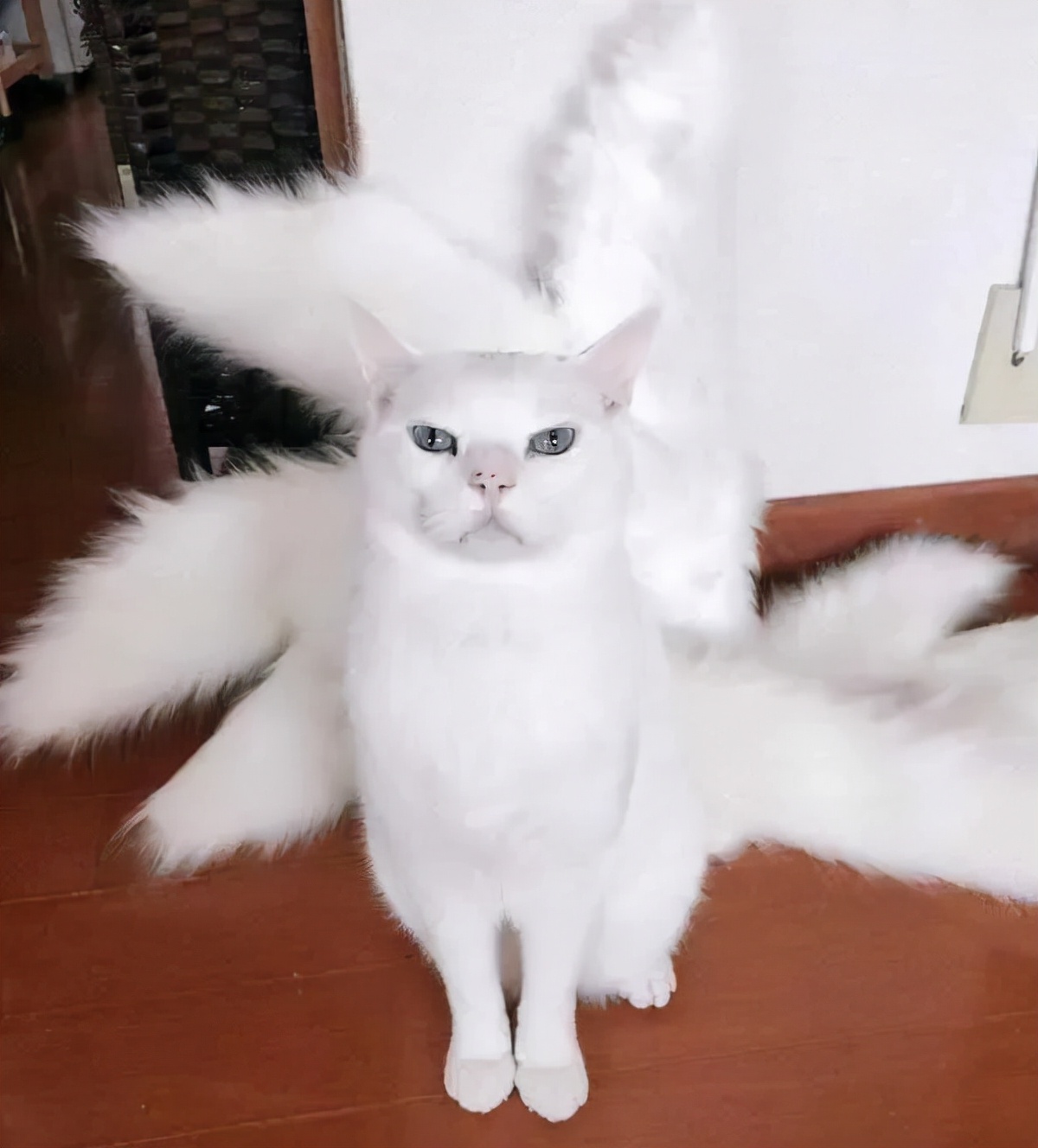 鐚湁涔濇潯鍛借繕鏄嫍鏈変節鏉″懡,鐚湁涔濇潯鍛界嫍鏈夊嚑鏉″懡