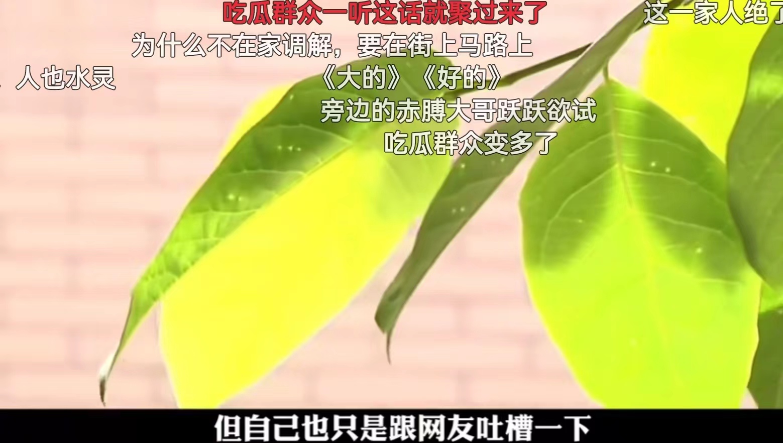 丈夫铁心离婚女人哭了,妻子铁心闹分居后续