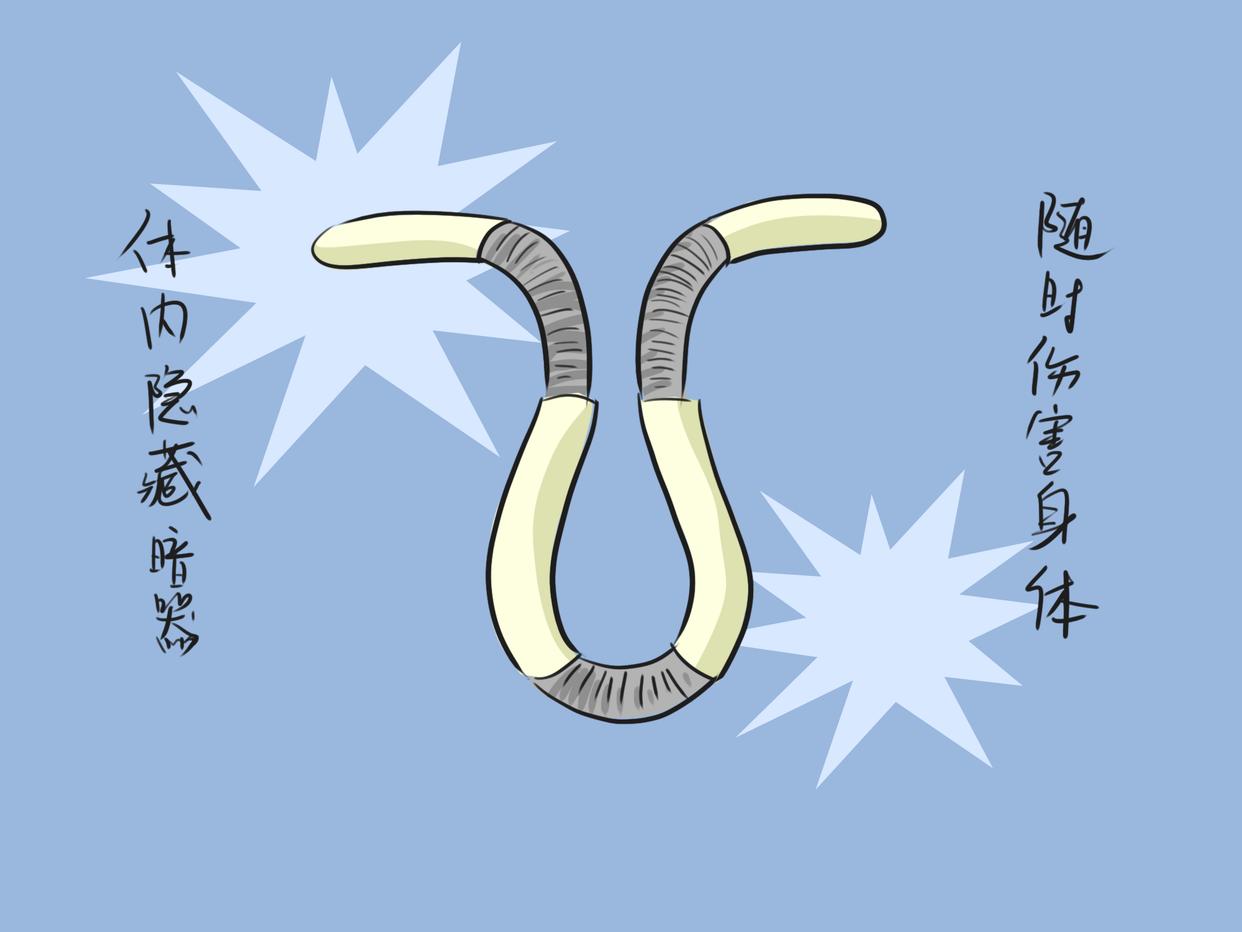 节育环位置正常会出血吗,女性节育环对身体有哪些危害