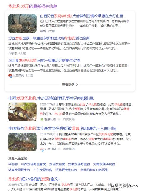 金钱豹动物科普介绍,金钱豹科普