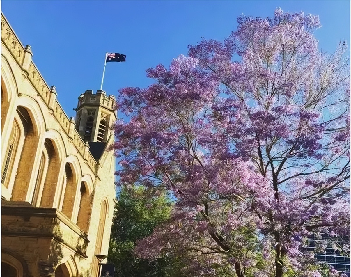 中外合作办学澳洲留学,澳洲合作大学