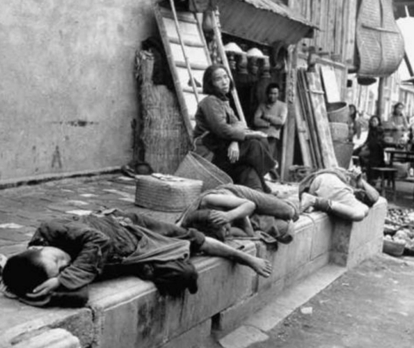 *人用成品**销量剧增，女性将成为未来主体，利润甚至高达百分百