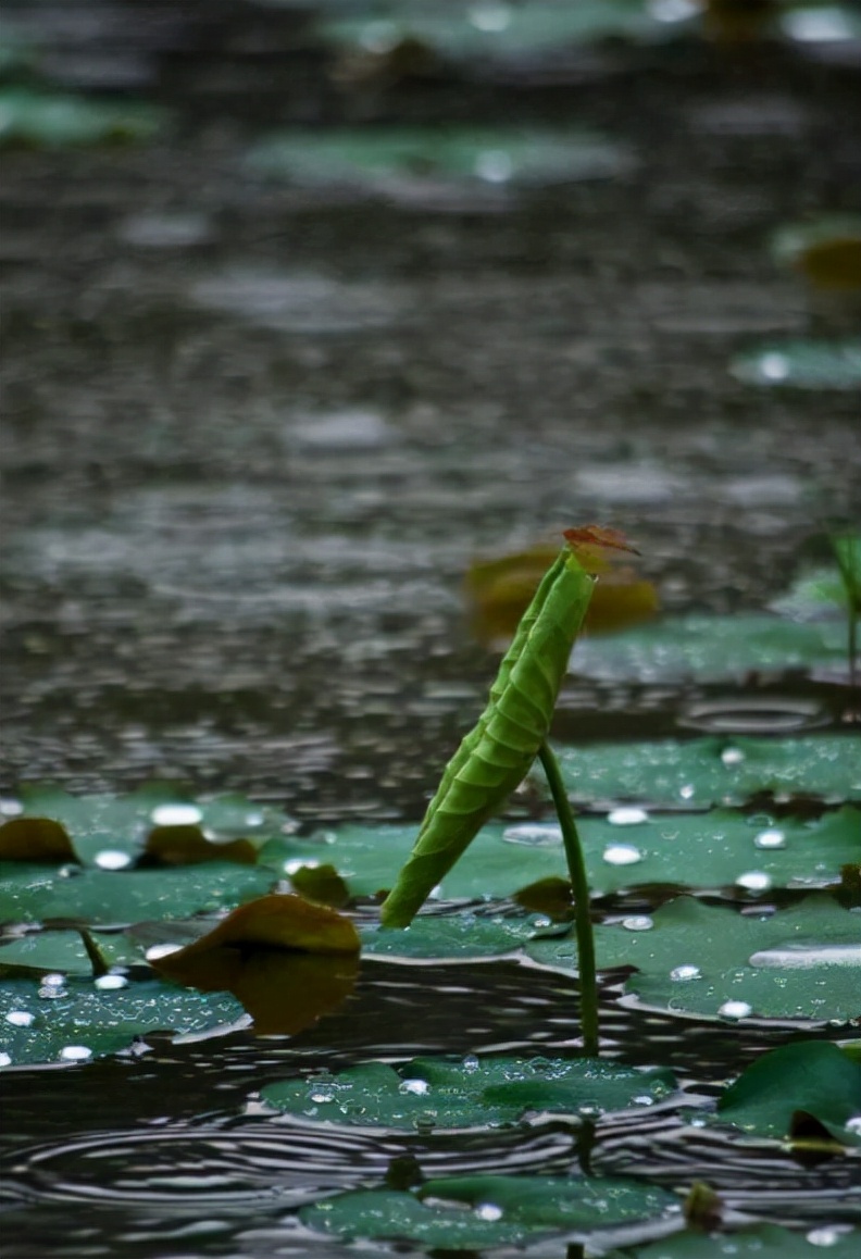 美是世间治愈一切的良药在线阅读,美是治愈一切的良药