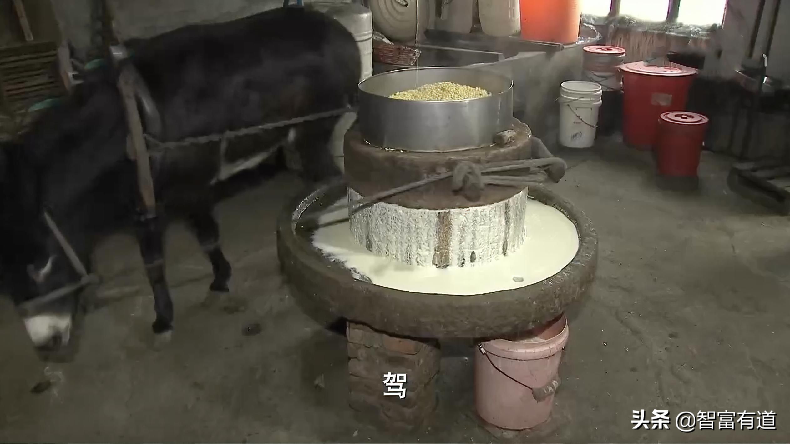 豆腐创新菜,豆腐创新模式