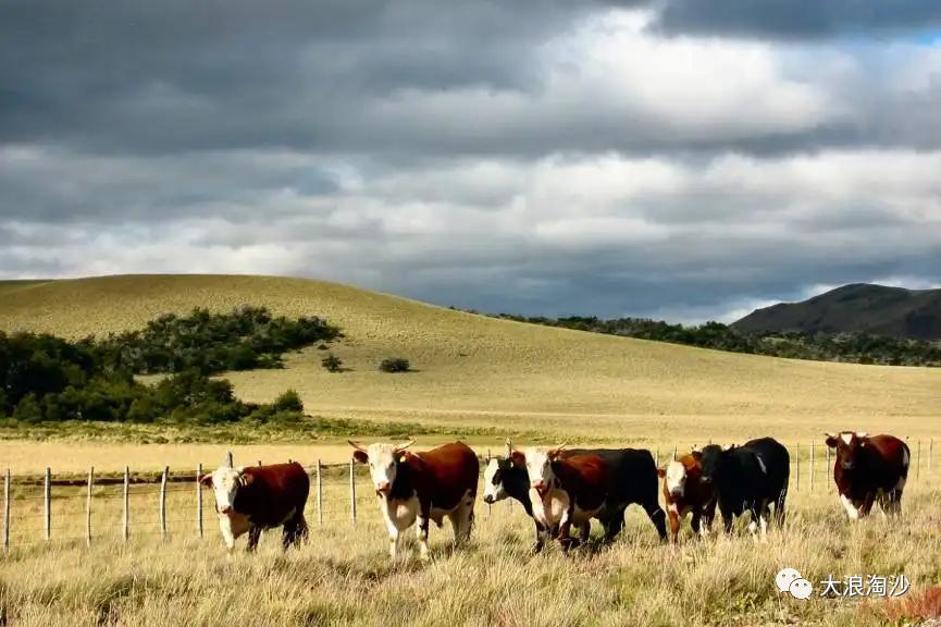 闂ㄧ綏涓讳箟鎷夌編涔嬫畤,鎷夌編涔嬫畤