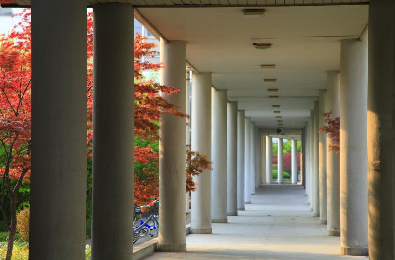 上海一所实力很强的211大学，分数高，但为何不受当地人待见？