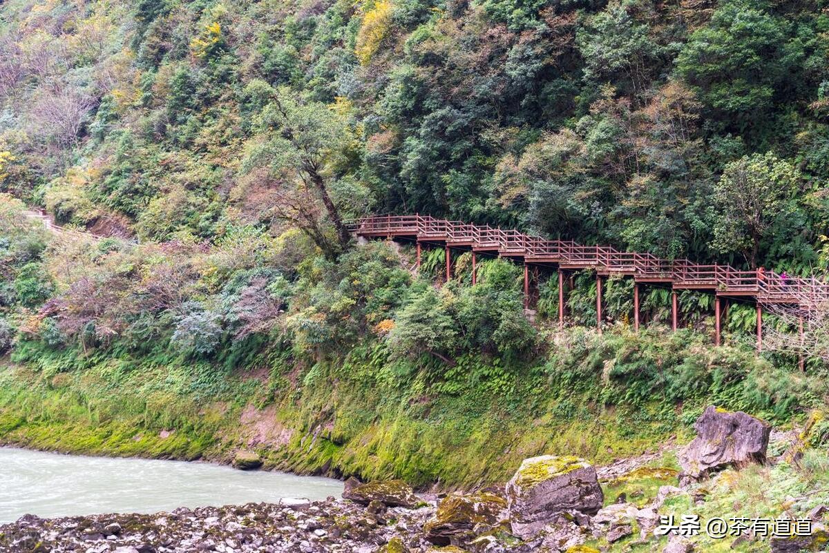 进入怒江雾村必走的茶马古道,怒江大峡谷茶马古道雾里村