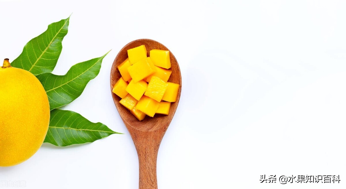那些你不知道的冷知识,杧果和芒果的区别