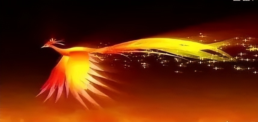 鹤岗该如何发展,鹤岗能干点啥