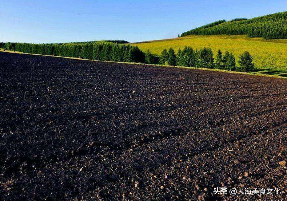 值得推荐的东北特产,再不吃就来不及的零食