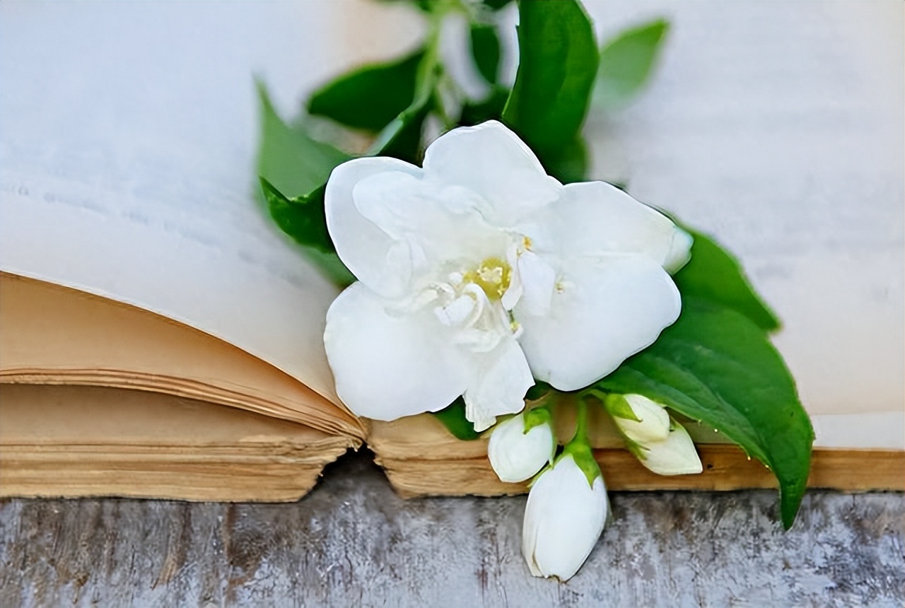 负债后，一定要学会“鳄鱼法则”，这样才能翻身，走出人生低谷