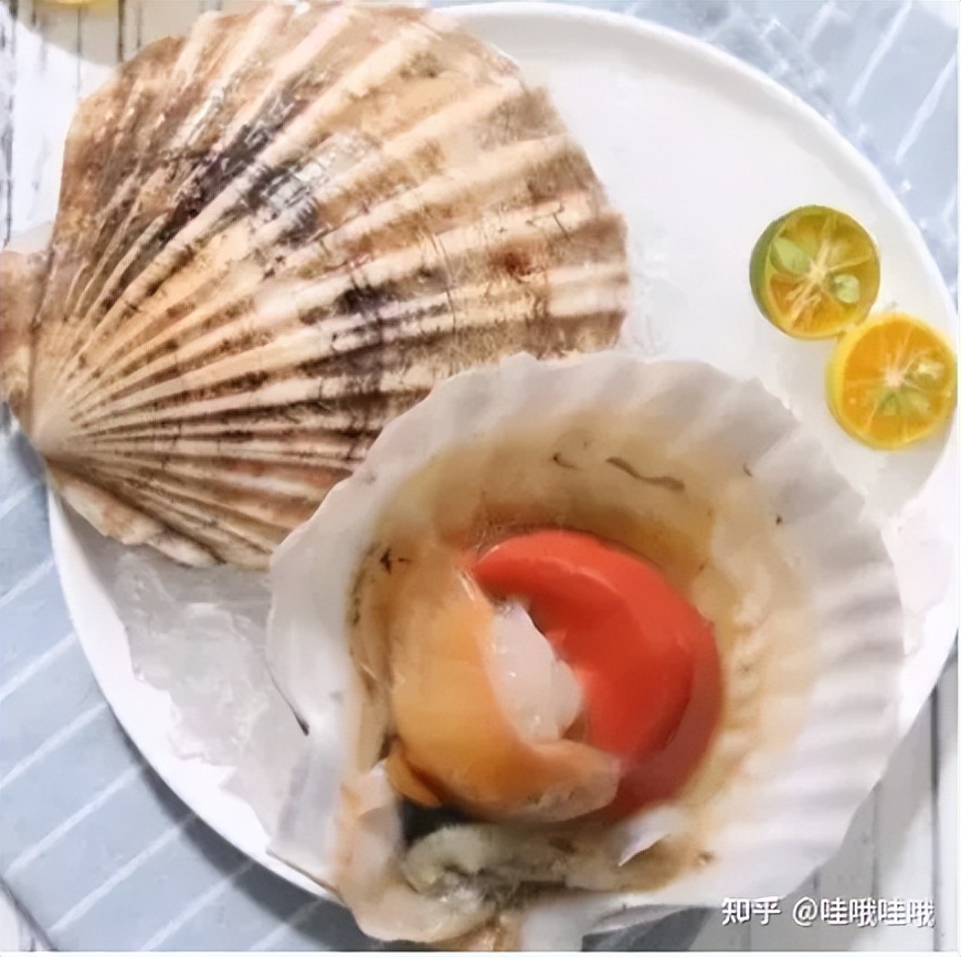 海鲜冰冻保鲜的正确方法,海鲜保鲜温度多少