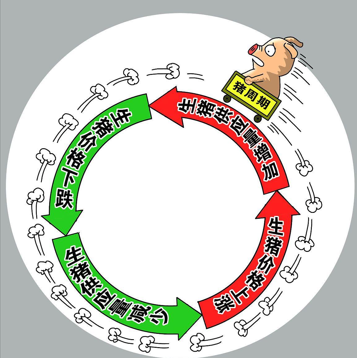 “仔猪不降，猪价没好”！什么逻辑？2023年6月1日全国生猪行情