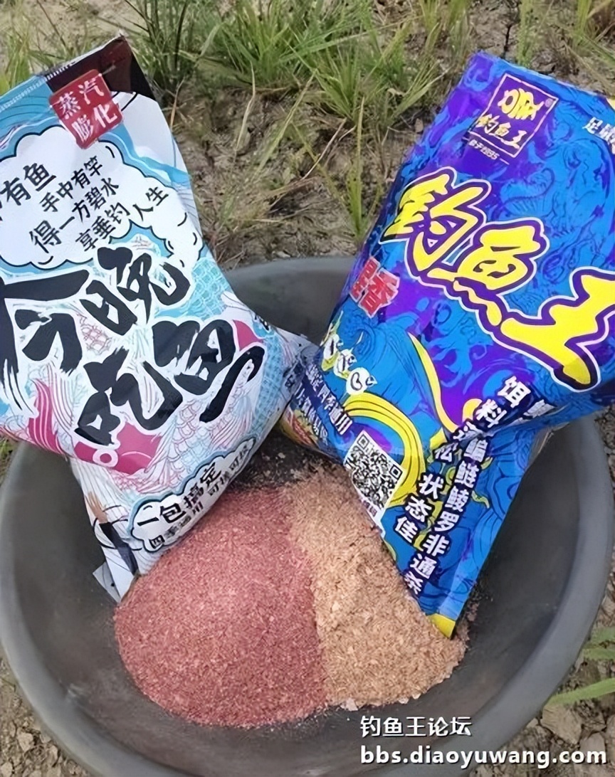 今晚吃鱼能配蓝鲫吗,今晚吃鱼加野战蓝鲫评测