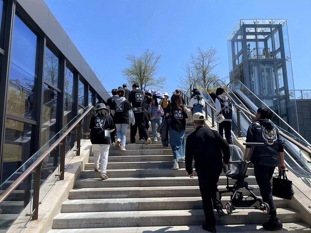 杭州鲸奇公关策划,鲸奇公关策划