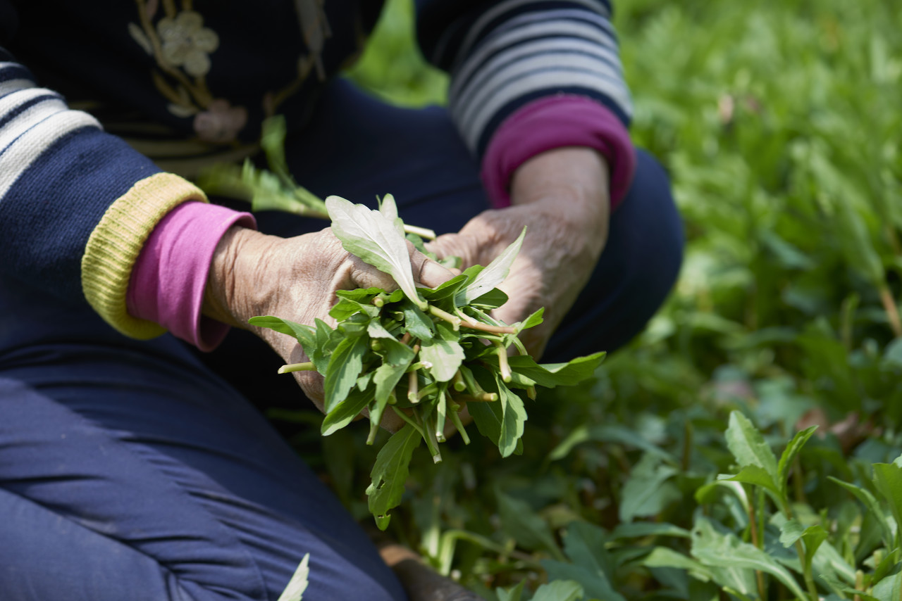 富春江河鲜,富春江诗词