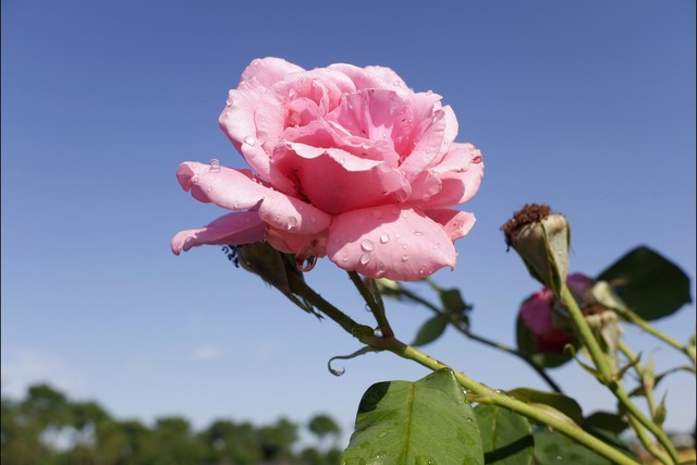 生活中不值钱的8件事,你生活花费时间最多的5件事