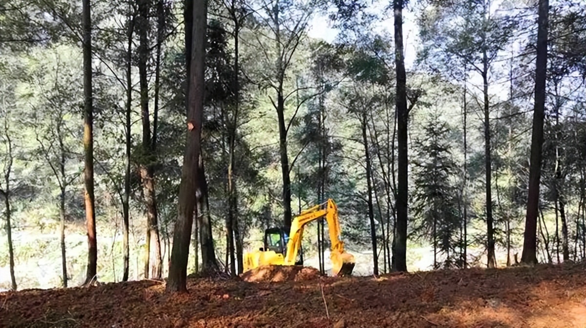 乡村振兴开局图,喜迎二十大建功新征程