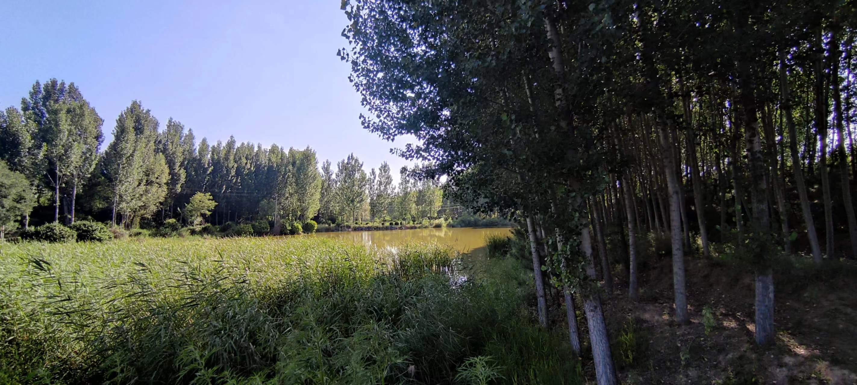 古中国考出彭蠡泽｜张笔魁