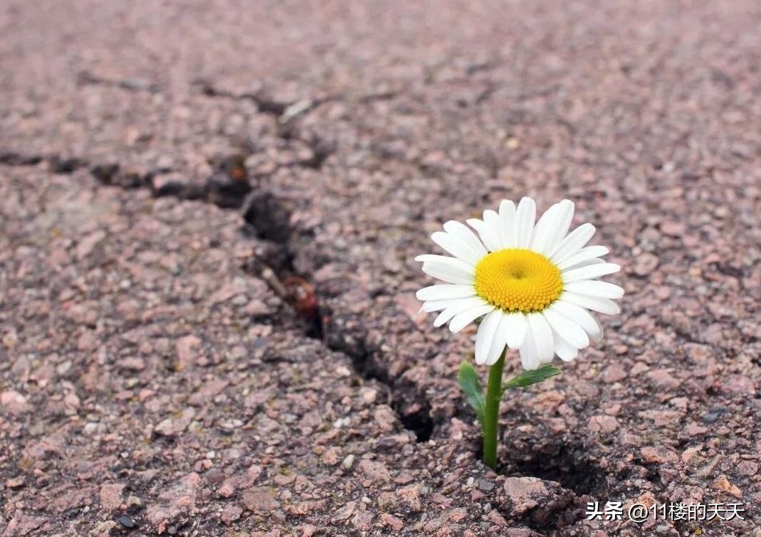 不联系的微信好友是删除还是拉黑,没有联系的微信好友要不要删除