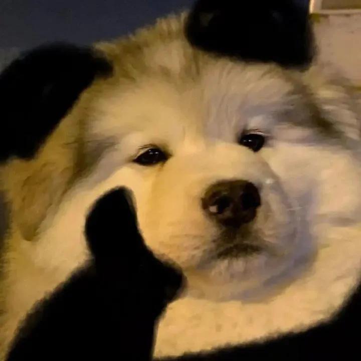 你究竟要我怎样薛之谦歌词,我知道你都知道薛之谦歌词