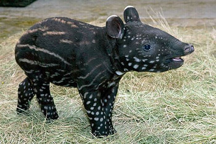 100个难得一见照片,难得一见12张照片