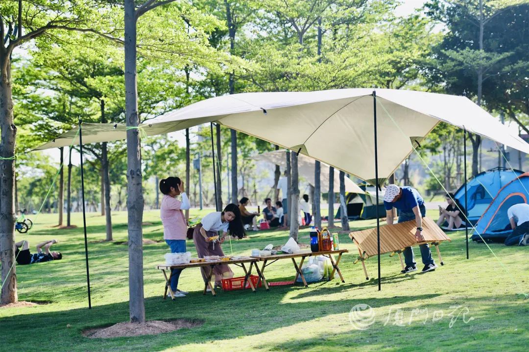 夏天厦门三亚北海到底选哪个好玩,厦门夏天哪个景区最好