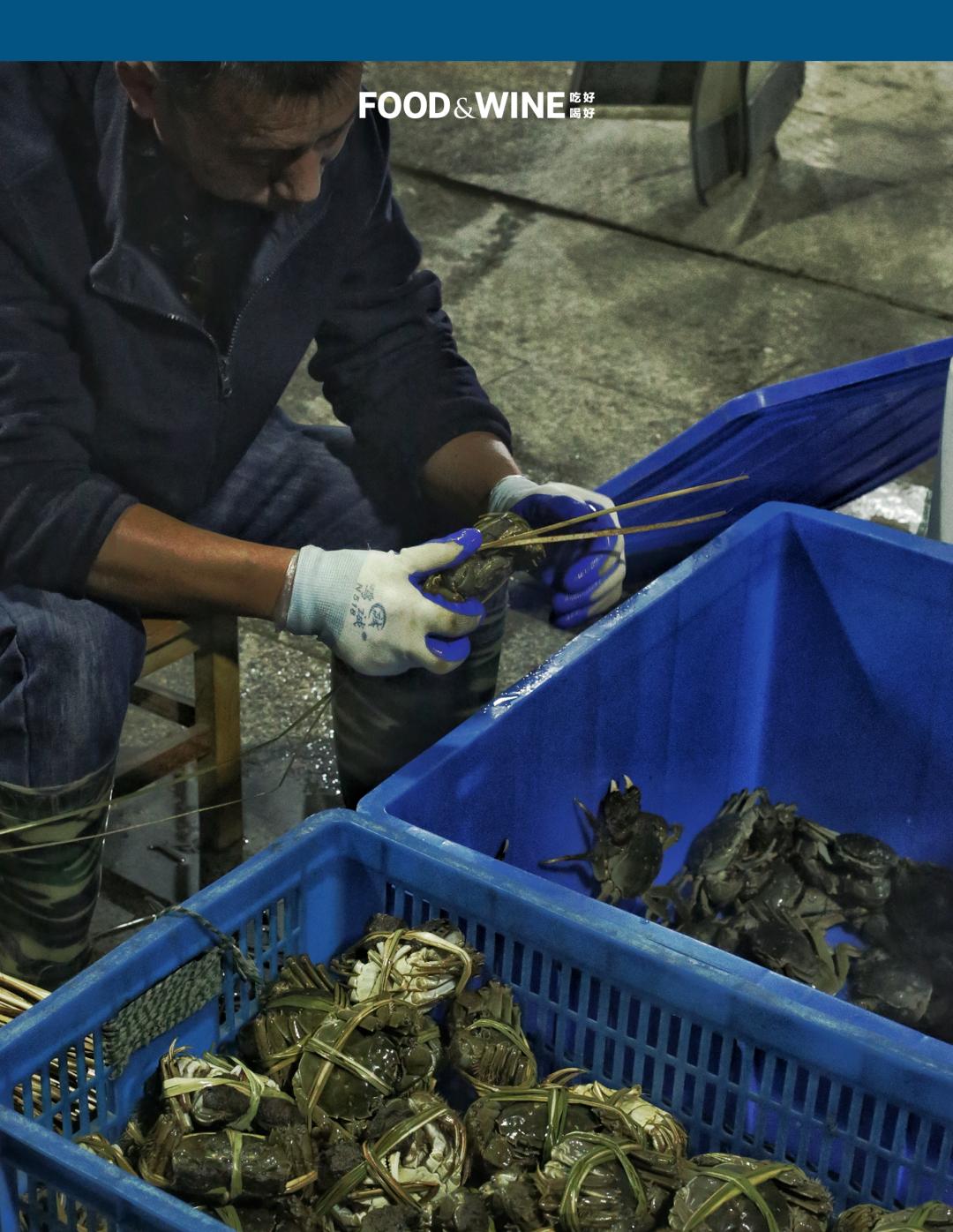 高邮湖的螃蟹怎么样,高邮湖螃蟹多少钱一斤