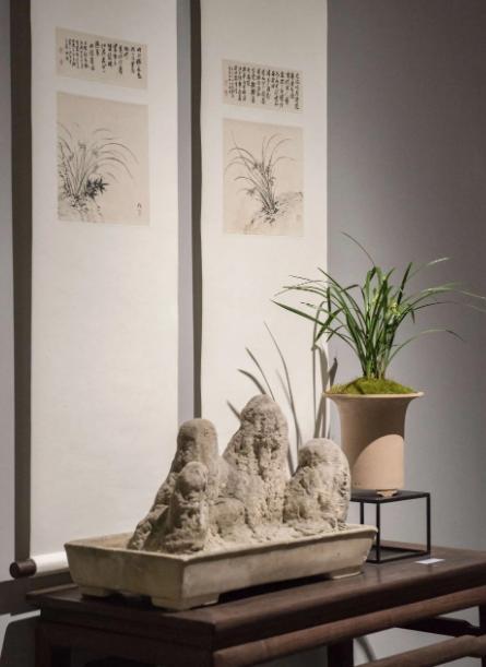 办公室适合摆放什么盆栽植物,老板摆放办公室十种最旺气的盆栽