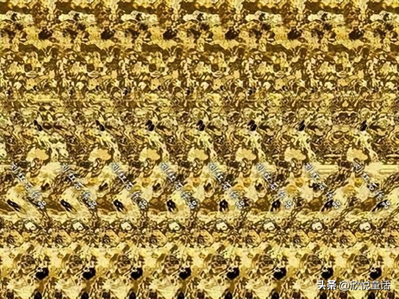 斑点狗正面照,斑点狗的真实资料