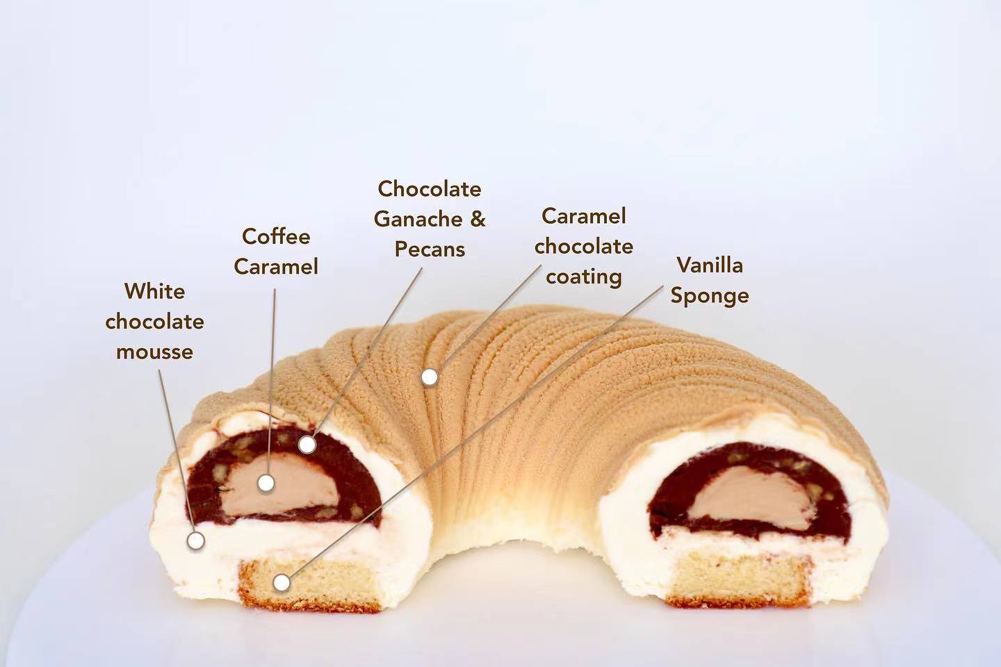蛋糕切面,蛋糕两层夹心切面图片