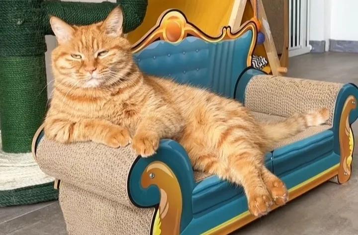 中信国安st原因,st国安最终走向预测