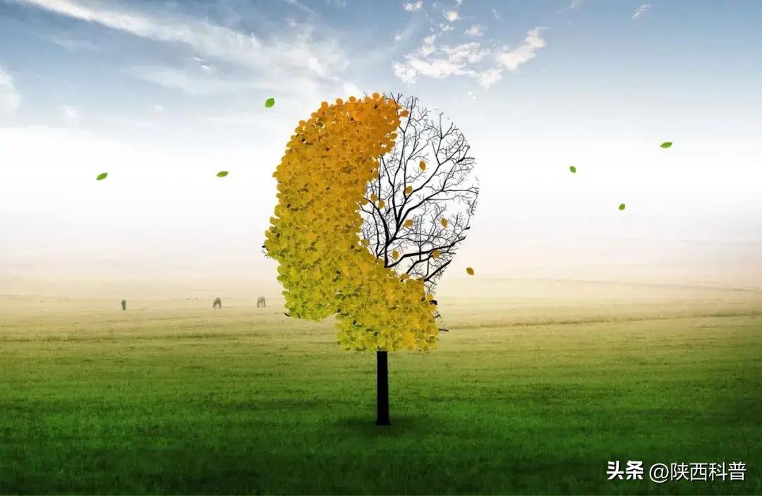 话到嘴边却忘了是怎么回事,话到嘴边不记得了