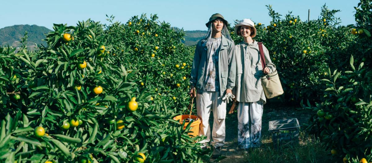 日元汇率创20年新低点,日元汇率暴跌