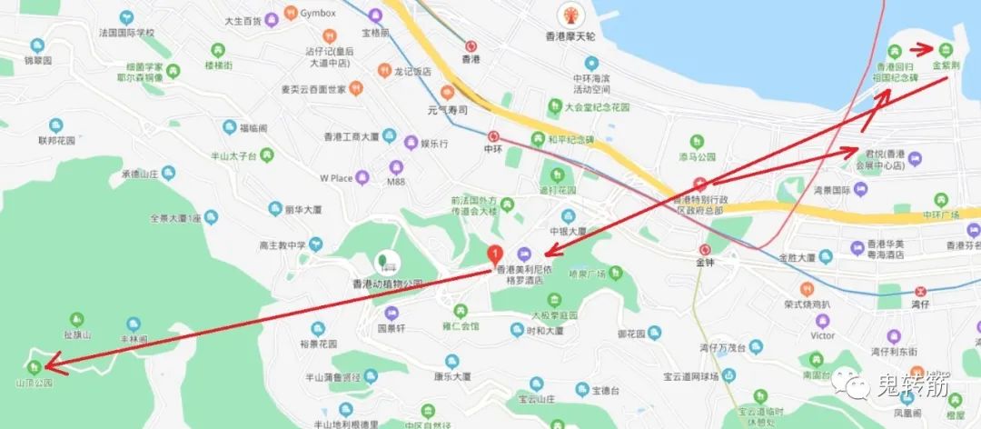 香港游玩美食攻略,香港澳门游玩