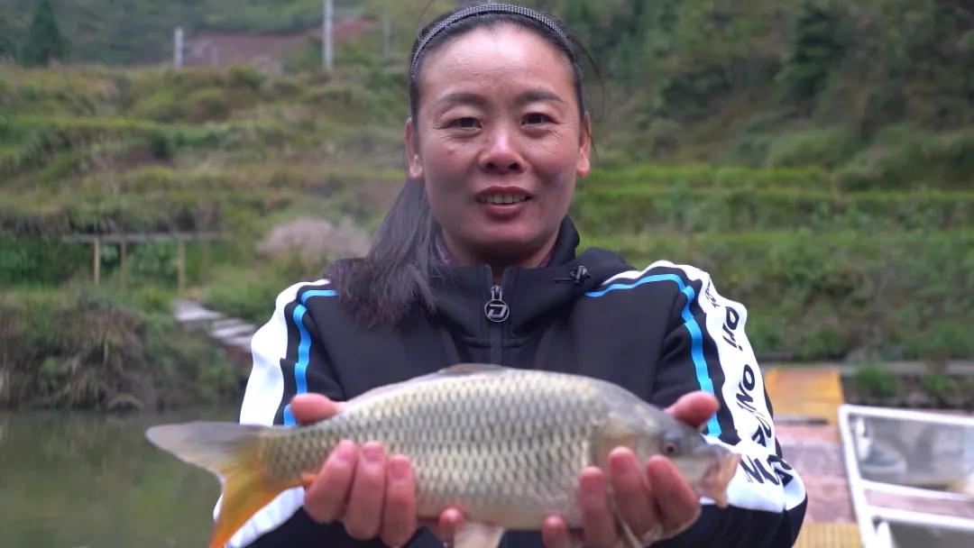 高山溪流冷水鱼怎么钓,山区冷水鱼养殖技术