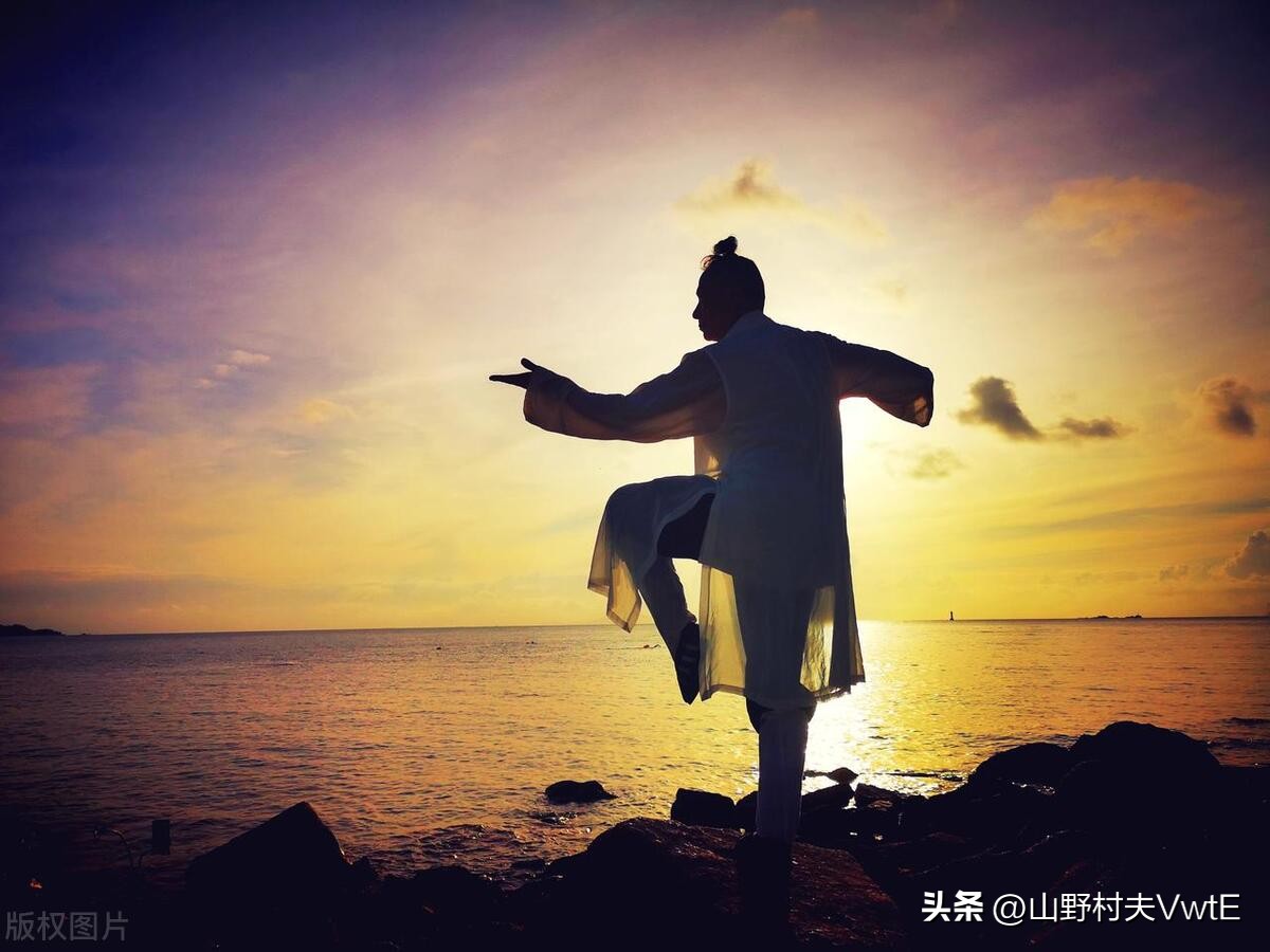 真正的内家拳练法,内家拳十三式功法